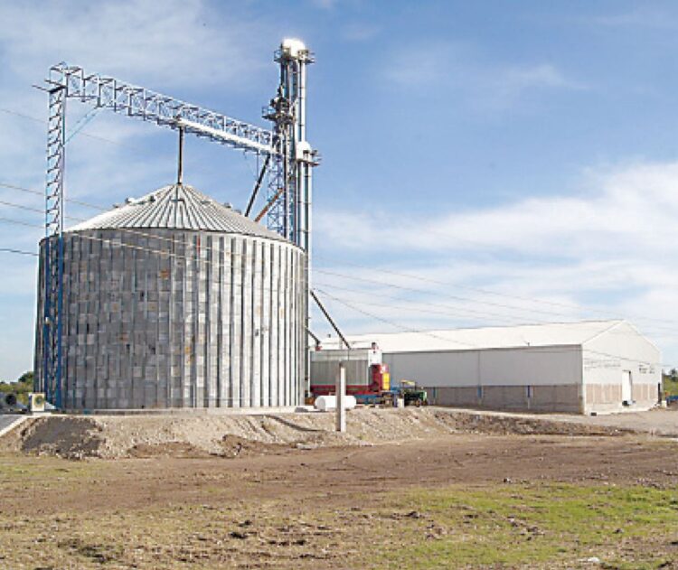 Productores temen a “basculazos” y normas de calidad en las compras de sorgo