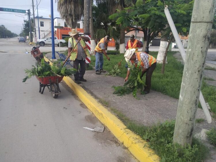 Mantiene el Ayuntamiento de San Fernando labores de saneamiento y limpieza pública
