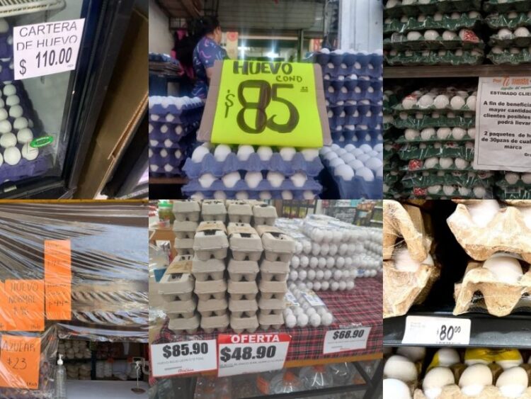 Aumentos a la canasta básica pulverizan valor adquisitivo de la clase trabajadora