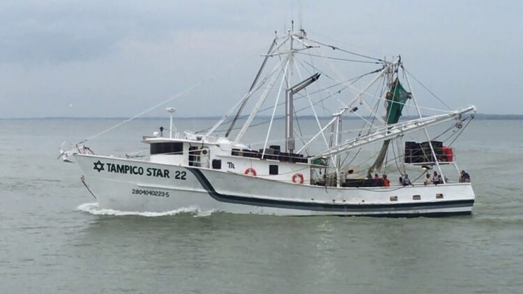 La veda de camarones en el Golfo de México ya está en marcha