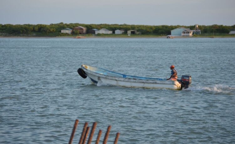 Están faltando máquinas para la trilla de sorgo en la región de San Fernando