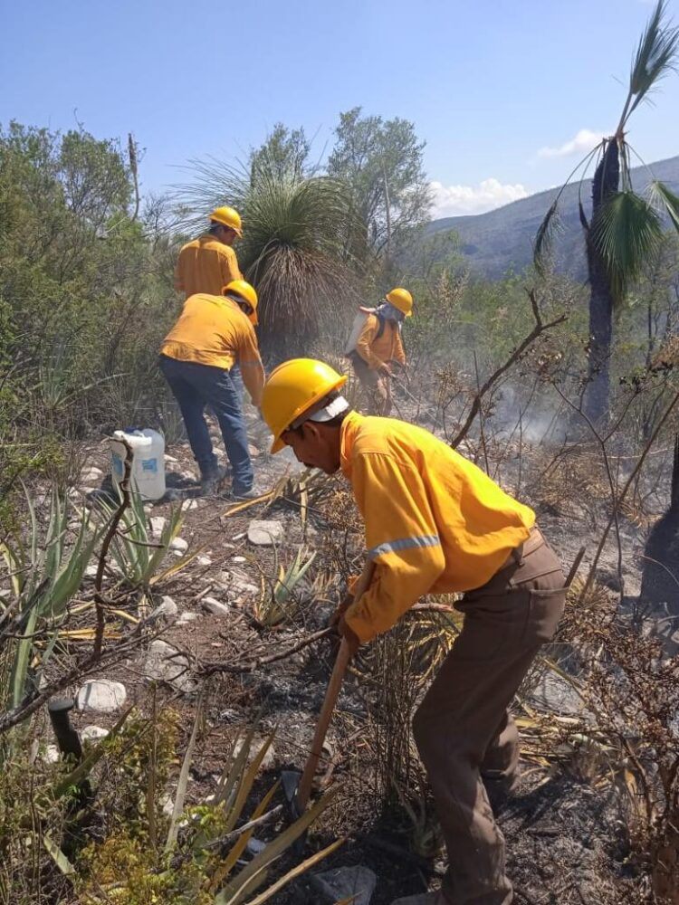 Permanentes acciones de contención y extinción de incendios forestales en Tamaulipas