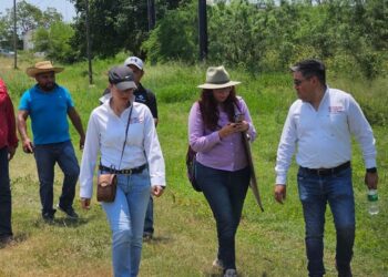 Trabajadores de Reynosa y San Fernando tendrán estancia laboral en Canadá