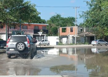 La trilla de sorgo alienta economía de prestadores de servicios