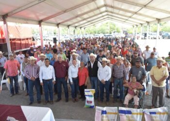 Continúa Gobierno del Estado beneficiando a productores con semilla de sorgo y maíz