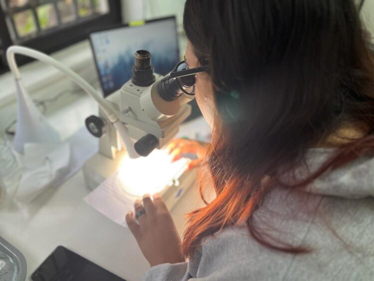 ¿Qué pasó con el predio donado en San Fernando para un laboratorio de “insectos benéficos”?