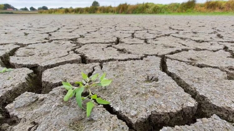 El Valle de San Fernando sigue en “rojo” en el Semáforo del Agua; sequía extrema