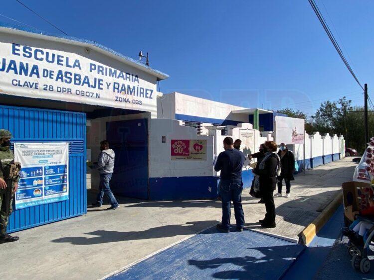 Ganadería sufre embates de plaga de garrapatas
