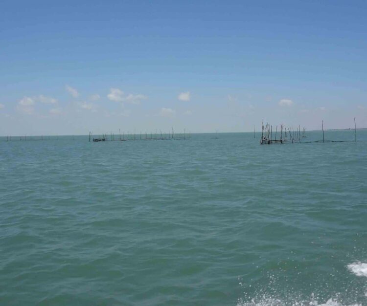 Muchos discursos alegres, pero “arrastres” siguen en la laguna madre