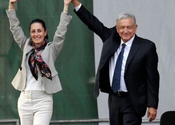 Hasta 8 años de cárcel a quienes castiguen animales, aprobarán en breve…