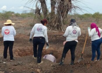 Masacran a papás y roban a bebé; urgente localizarla