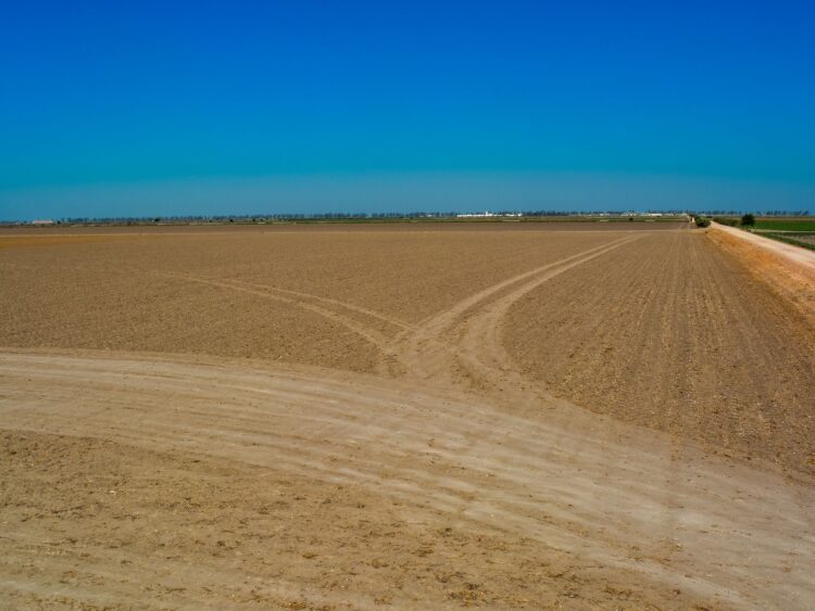 Sequía impidió siembras del ciclo tardío de sorgo en San Fernando