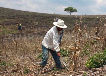 Gastos de campañas costarán 661 millones de pesos, aprueba INE