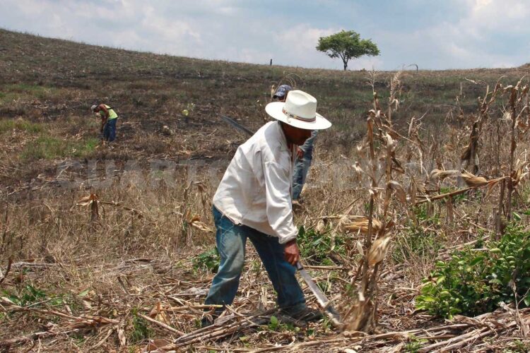 Gastos de campañas costarán 661 millones de pesos, aprueba INE