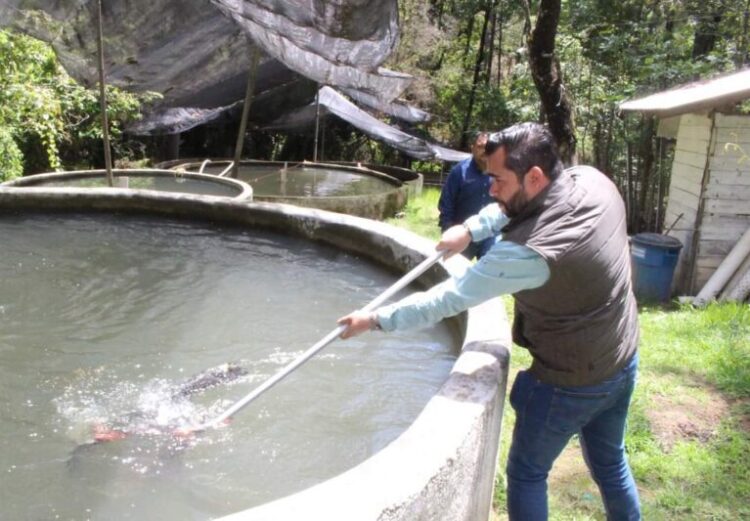 Eligen nueva directiva en el comité de agua del ejido «Cándido Aguilar»