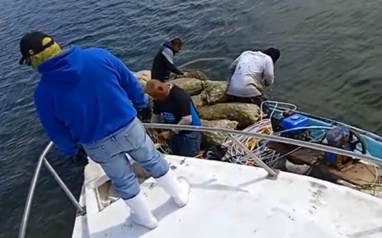 Marinos vigilan que pescadores no violen veda de Lisa en la laguna madre