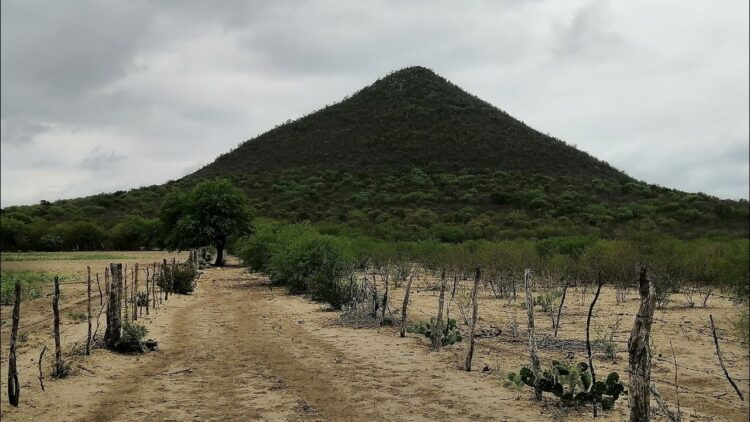 Desazolve COMAPA San Fernando la fosa séptica de primaria en ejido «San Gilberto»