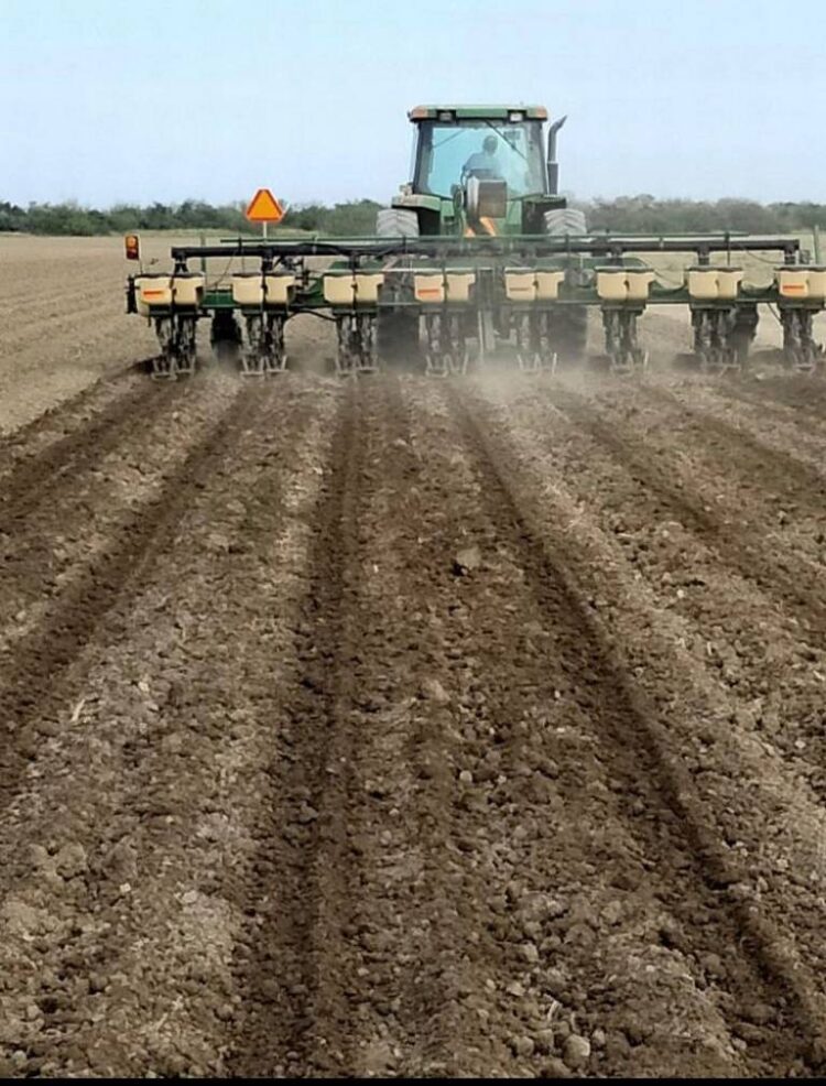 Conservación de carretera en San Fernando beneficiará a comunidad pesquera y turismo