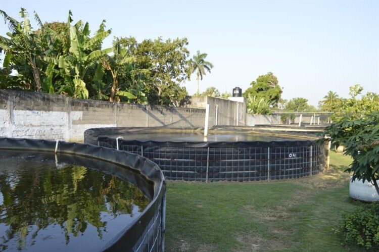 Faltan fuentes de empleos en laguna madre para mitigar condiciones de pobreza