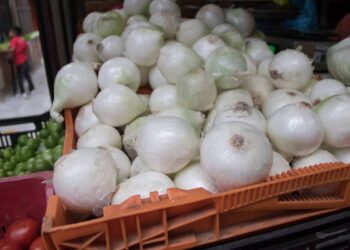 Familias se duelen por carestía general en plena cuesta de enero, verduras por los cielos…