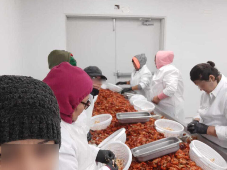Empacadoras de mariscos son viables en  poblados pesqueros de la laguna madre