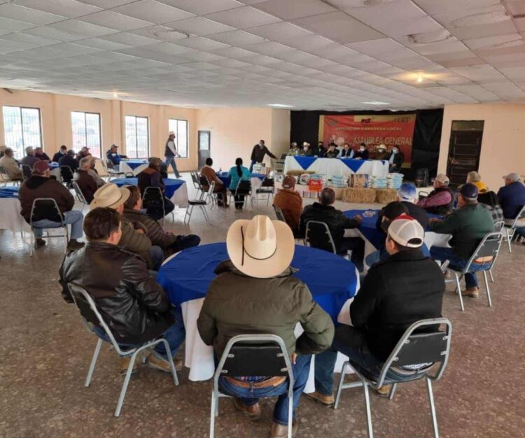 Ganaderos elegirán el próximo 24 de febrero a un nuevo dirigente en San Fernando