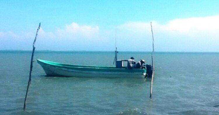 Pescadores están respetando veda de Lisa; no hay infracciones