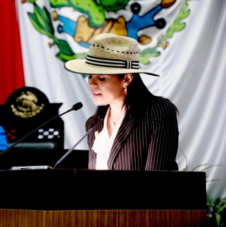 Diputada de San Fernando pide que el sorgo sea considerado un grano básico