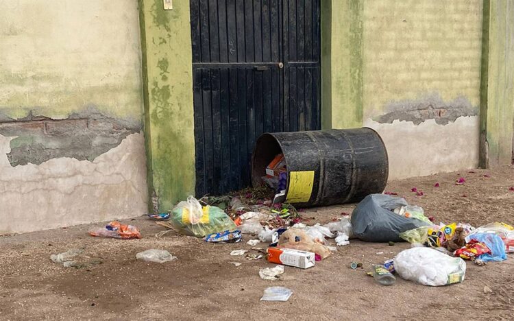 Perros callejeros siguen regando basura en las calles