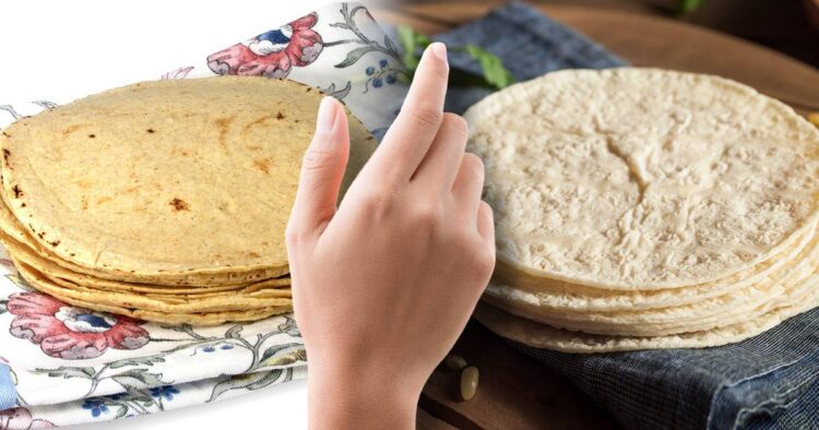 Familias pueden ahorrar consumiendo tortillas elaboradas con sorgo blanco