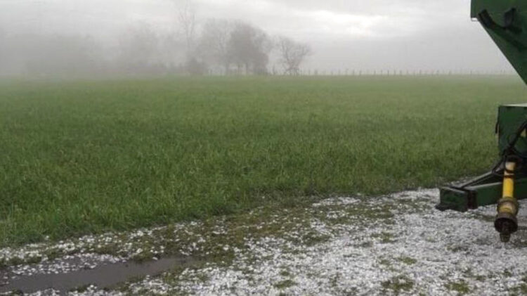 Muy oportunas para actividades del campo lluvias de los últimos días