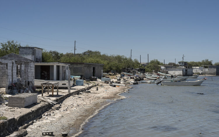 Pescadores necesitarán apoyo con empleos temporales durante la veda de camarón
