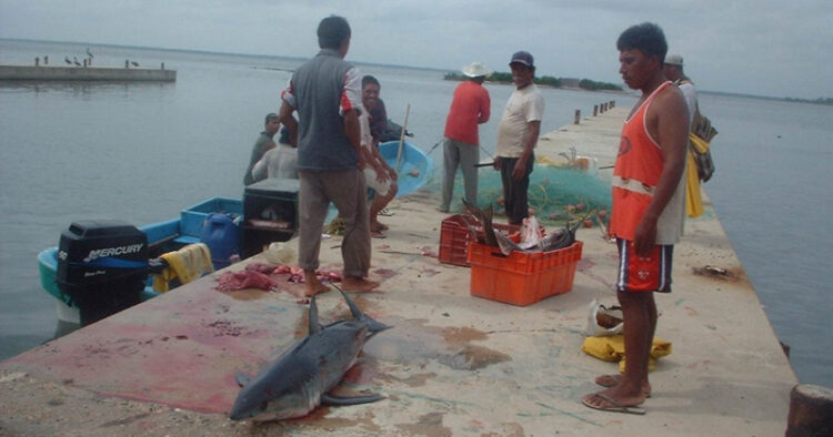 Mejora la captura de recursos pesqueros en alta mar y laguna madre