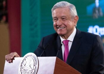 Desaparecen abejas; esto es muy grave según científicos