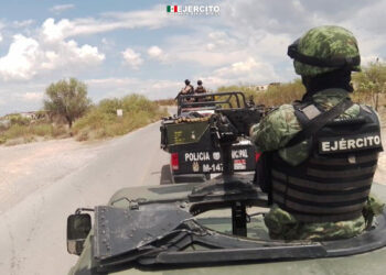 Emergencia en el campo: Sequía devasta a la ganadería en Tamaulipas y otros estados