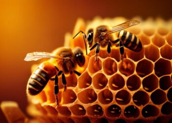 Desaparecen abejas; esto es muy grave según científicos