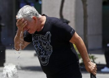 Gobierno mexicano contradice a la OMS; no hay ningún hombre muerto por gripe aviar