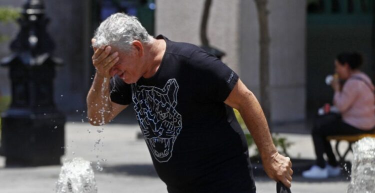 Gobierno mexicano contradice a la OMS; no hay ningún hombre muerto por gripe aviar