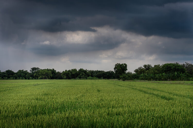 Hay pronósticos de lluvias en San Fernando para los días próximos