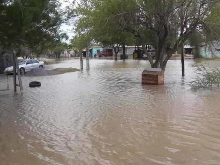 A TAMBOR BATIENTE/ ALERTA ACTIVADA