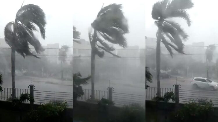 Hasta once pulgadas de humedad podría dejar “Beryl” en San Fernando
