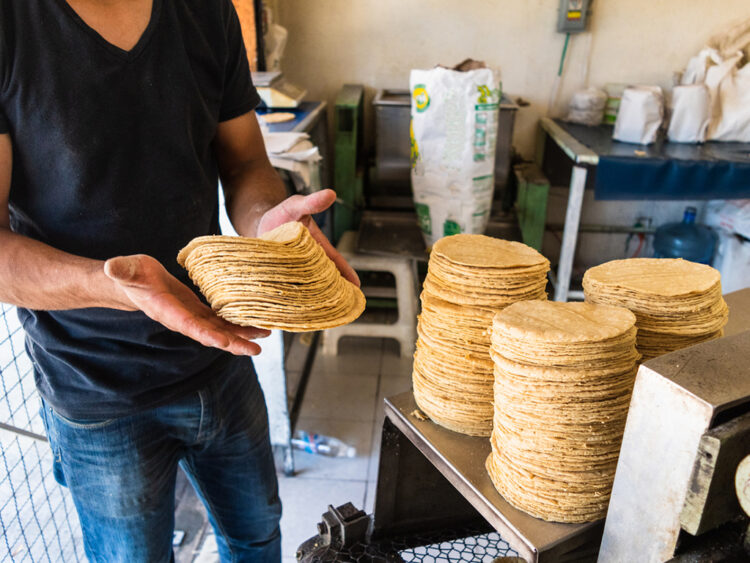 Analizan aumento al precio de la tortilla en San Fernando