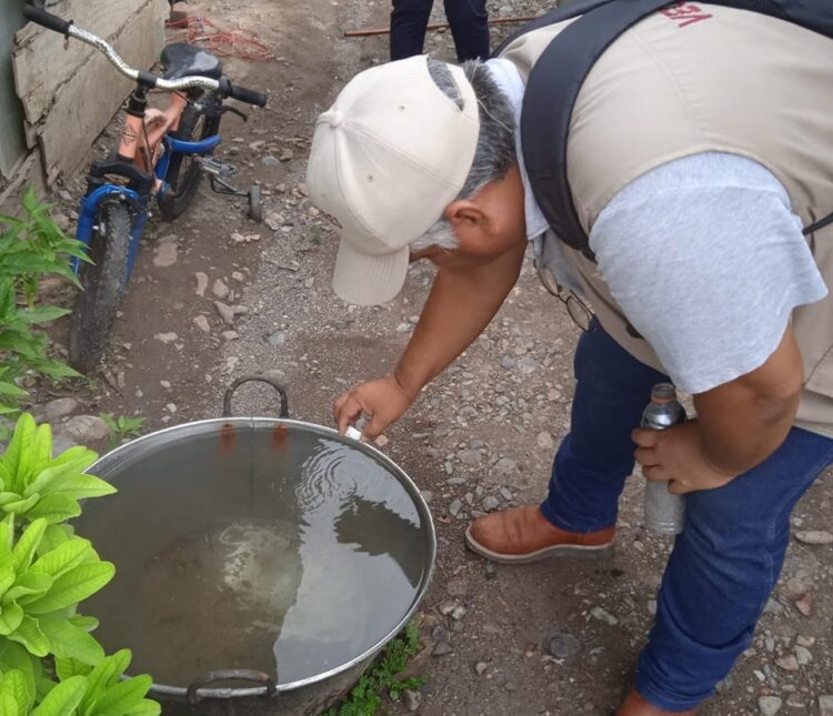 Premia DIF Tamaulipas a ganadores de los concursos estatales de dibujo y cartel sobre derechos y trabajo infantil
