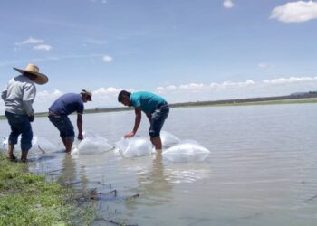 Reportan deportaciones masivas en EU, suman miles en últimas semanas