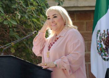 Próximo a vencer decreto de regularización de autos americanos: Adriana Lozano