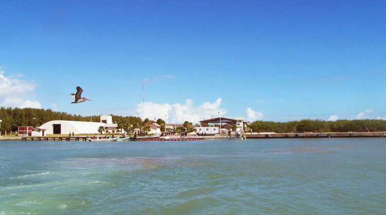 Las redes de arrastre en laguna madre; un vicio que no se puede erradicar