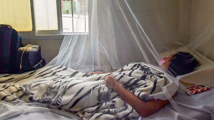 Más de 3 mil muertos cada día por hepatitis víricas, encienden alerta mundial