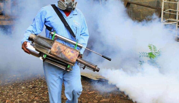 Se mofan zancudos de los insecticidas, no les hacen ni cosquillas