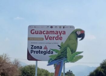 Coloca Comisión de Parques señalética para evitar atropellamientos de fauna