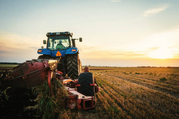 A TAMBOR BATIENTE/LLEGA EL APOYO A PRODUCTORES DE SORGO